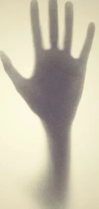Light Shadow Finger Live Wallpaper