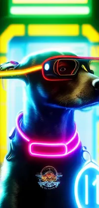 Light Vision Care Dog Live Wallpaper