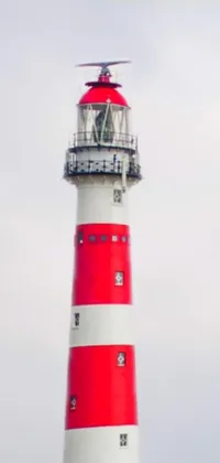 Lighthouse Building Tower Live Wallpaper