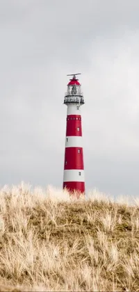 Lighthouse Sky Tower Live Wallpaper