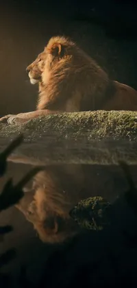 Bring the beauty of the king of the jungle straight to your phone with this mesmerizing live wallpaper