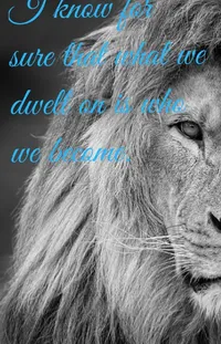 Lion Organism Big Cats Live Wallpaper