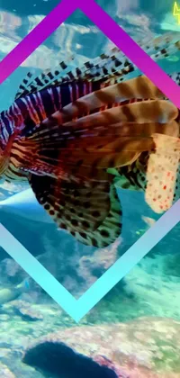 Lionfish Water Organism Live Wallpaper