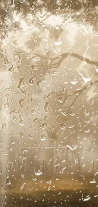 This phone live wallpaper boasts a stunningly realistic depiction of a rain-covered window adorned with beautiful droplets in tan tonalism style