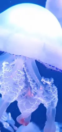 Liquid Azure Water Live Wallpaper