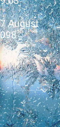 Get ready to elevate your phone's home screen with this gorgeous live wallpaper! The centerpiece of the image is a frost-covered window, which mesmerizes with delicate ice crystals and enchanting patterns