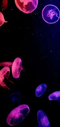 This mobile wallpaper showcases a mesmerizing image of jellyfish floating on a dark surface