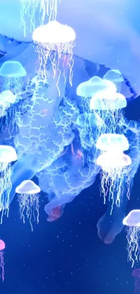 Liquid Blue Marine Invertebrates Live Wallpaper
