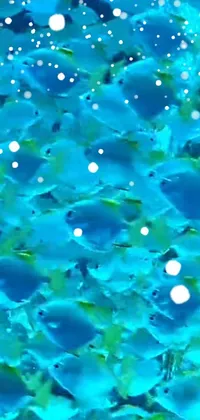 Liquid Blue Water Live Wallpaper