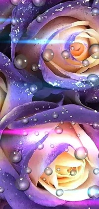 Liquid Flower Purple Live Wallpaper