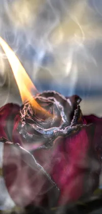 This phone live wallpaper features an awe-inspiring image of a red rose with a fiery flame hovering near it