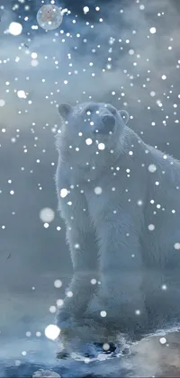 snow bear Live Wallpaper