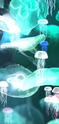 This live wallpaper features a group of jellyfish gracefully gliding on a body of water