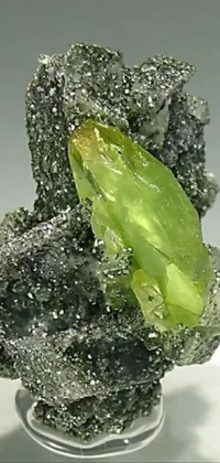 Transform your phone with this unique and stunning live wallpaper featuring a close-up of a broccoli piece on a plate