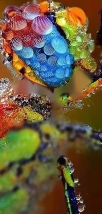 Liquid Leaf Organism Live Wallpaper