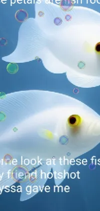 Dive into the stunning underwater world with this phone live wallpaper featuring swimming fish
