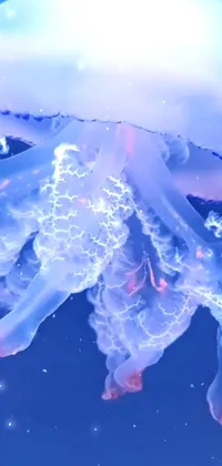 Liquid Marine Invertebrates Blue Live Wallpaper
