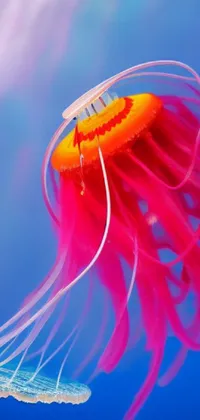 Bring your phone screen to life with this stunning jellyfish live wallpaper