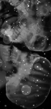 Liquid Organism Astronomical Object Live Wallpaper