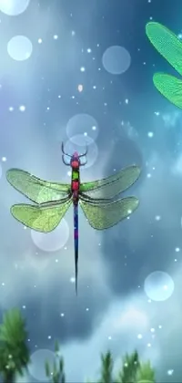 This phone live wallpaper is a stunning digital art creation featuring two dragonflies flying gracefully in the blue sky