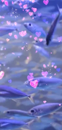 This live wallpaper for phones displays a scene of peaceful fish drifting on top of a serene water body