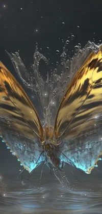 Liquid Pollinator Insect Live Wallpaper
