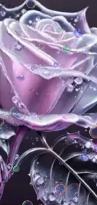 This live wallpaper for your phone features a stunning close-up of a rose adorned with water droplets