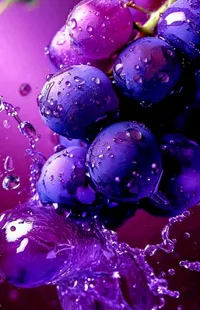 Liquid Purple Plant Live Wallpaper