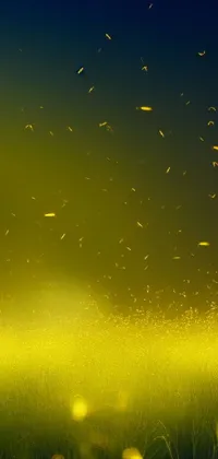 Find peace every time you look at your phone screen with this stunning yellow flower field live wallpaper