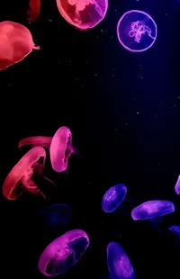 Liquid Vertebrate Light Live Wallpaper