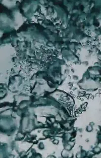 Liquid Water Aqua Live Wallpaper