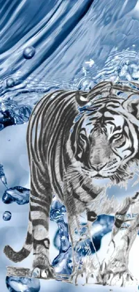 Liquid Water Bengal Tiger Live Wallpaper