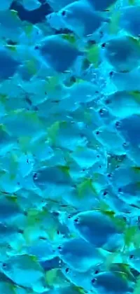 Liquid Water Blue Live Wallpaper
