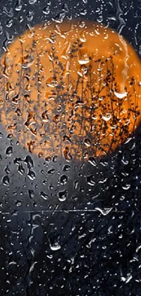 This stunning phone live wallpaper features an orange and black view of a full moon shining through a rain-covered window