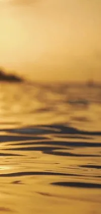 This phone live wallpaper showcases a stunning sunset scene over a body of water, filmed in cinematic 70mm and featuring intricate details of rippling water and a warm golden hue