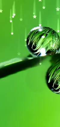 This phone live wallpaper showcases a breathtaking macro photograph of three water drops delicately balanced on a blade of green grass