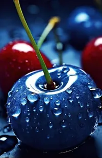 Liquid Water Fruit Live Wallpaper
