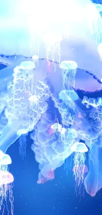 Liquid Water Light Live Wallpaper