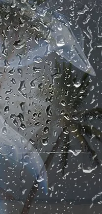 Liquid Window Water Live Wallpaper