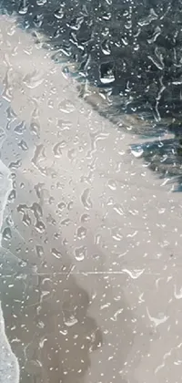Liquid Window Water Resources Live Wallpaper
