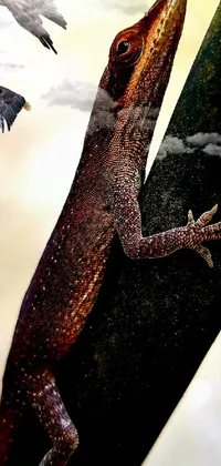 Lizard Reptile Brown Live Wallpaper