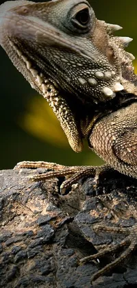 Looking for a stunning live wallpaper to add some nature inspiration to your device? Check out this closeup portrait of a majestic gothic indian dragon sitting on a log