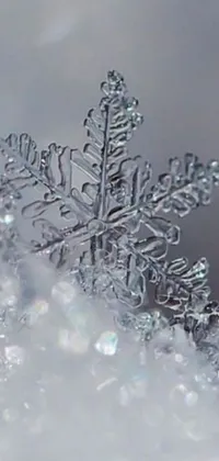 This phone live wallpaper features a stunning snowflake on a snow pile