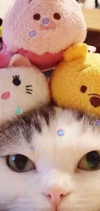 This phone live wallpaper features an adorable cat resting atop stuffed animals in a charming scene