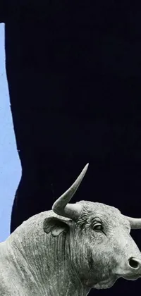 This monochromatic live wallpaper for your phone showcases a striking black and white image of a bull with sharp tusks, set against a textured black rock material