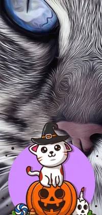This phone live wallpaper features a furry white and silver cat wearing a witch hat, perched atop a carved pumpkin