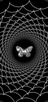 Get mesmerized by this stunning live wallpaper featuring a delicate butterfly perched beautifully on a spider web