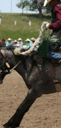 This phone live wallpaper captures the essence of a thrilling rodeo arena, with a rider confidently mounted on the back of a strong horse