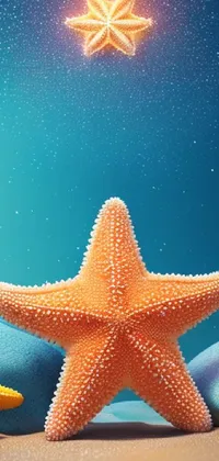 Marine Invertebrates Light Starfish Live Wallpaper