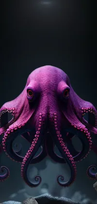 Marine Invertebrates Octopus Eye Live Wallpaper